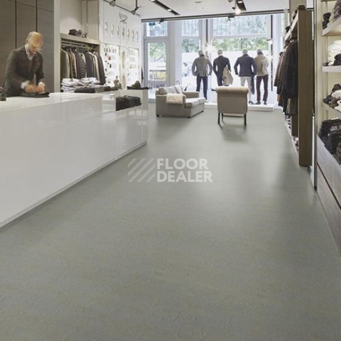 Forbo Marmoleum Solid Slate e3747-e374735 Lakeland shale фото 3 | FLOORDEALER